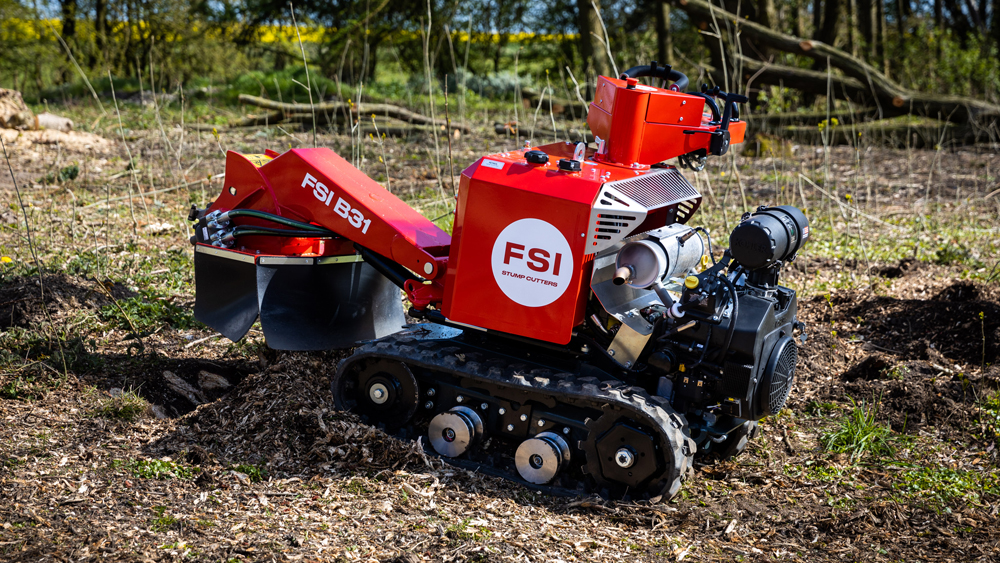 FSI B31 actie