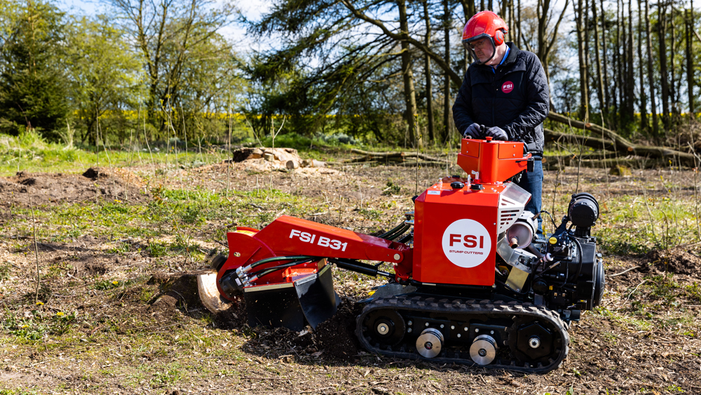 FSI B31 stobbenfrees