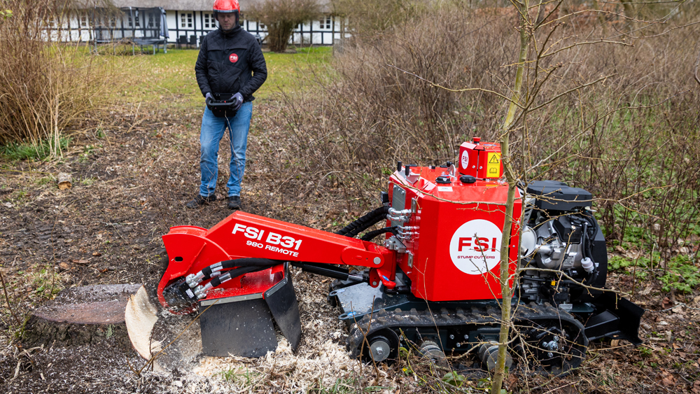 FSI B31 Remote demomodel