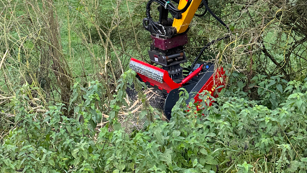 Bosfrees voor kranen