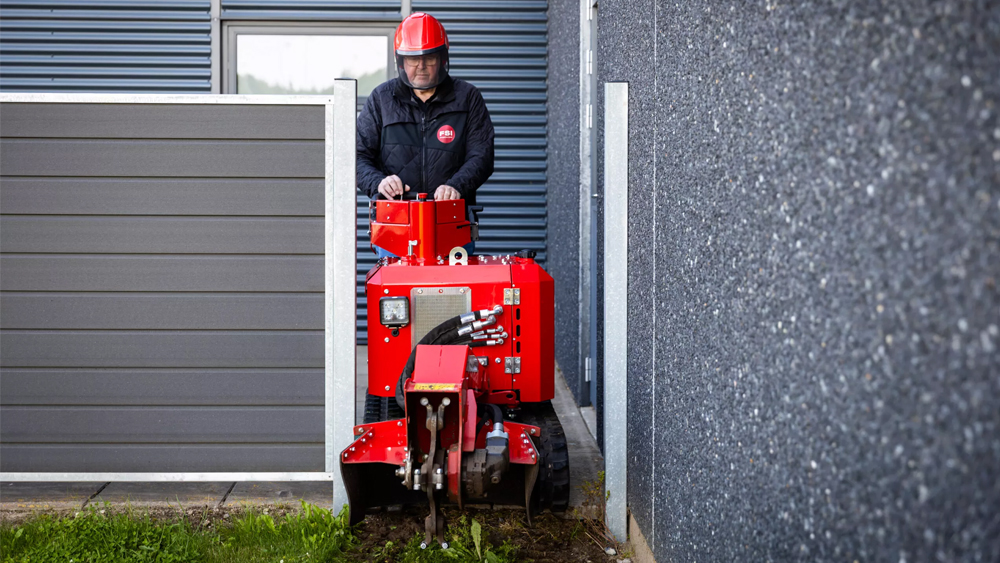 Smalle stobbenfrees op rupsen
