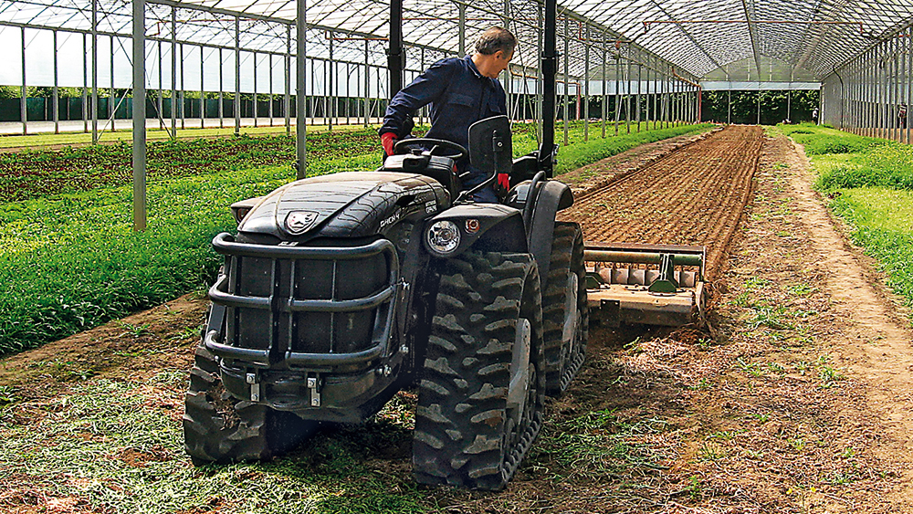 Veelzuidige rupstrekker